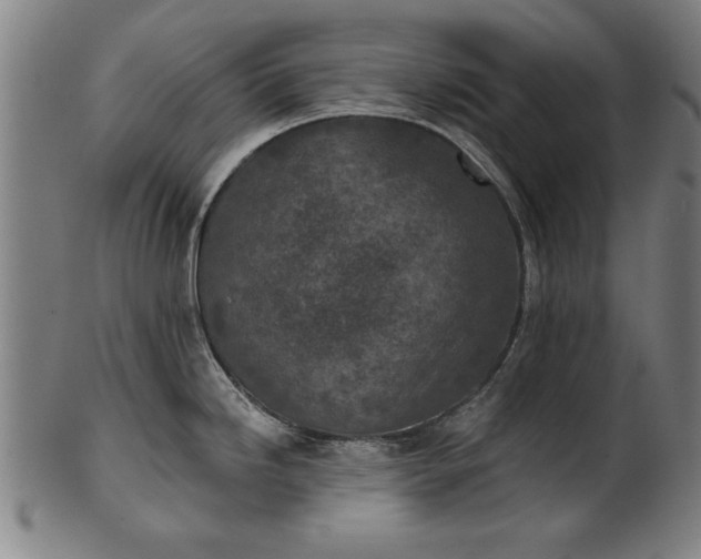 X0000101201246200807111001