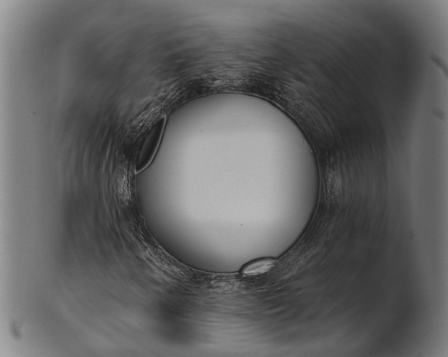 X0000101201250200807111000
