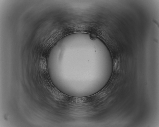 X0000101201251200807111000