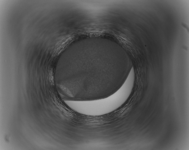 X0000101201252200807111000