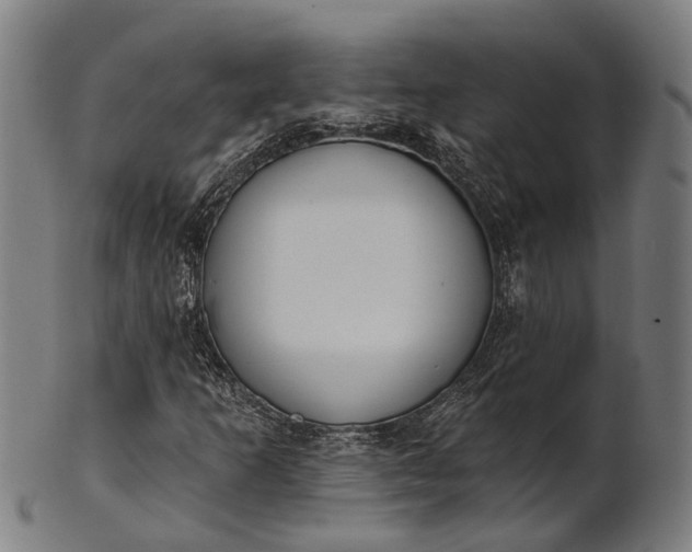 X0000101201253200807111000