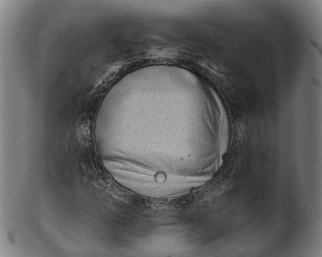 X0000101201254200807111000
