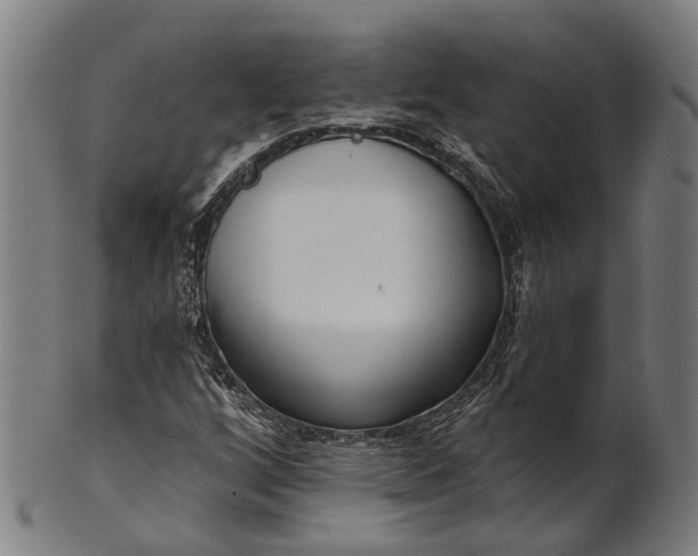 X0000101201256200807111000