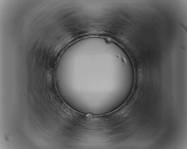 X0000101201257200807111000