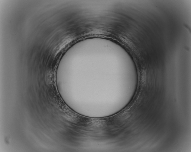 X0000101201258200807111000