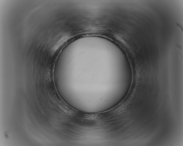 X0000101201259200807111000