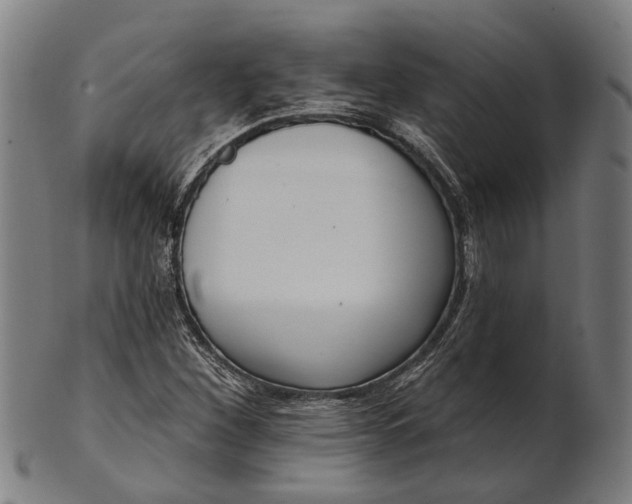 X0000101201260200807111000