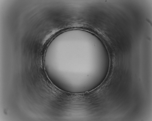 X0000101201262200807111000