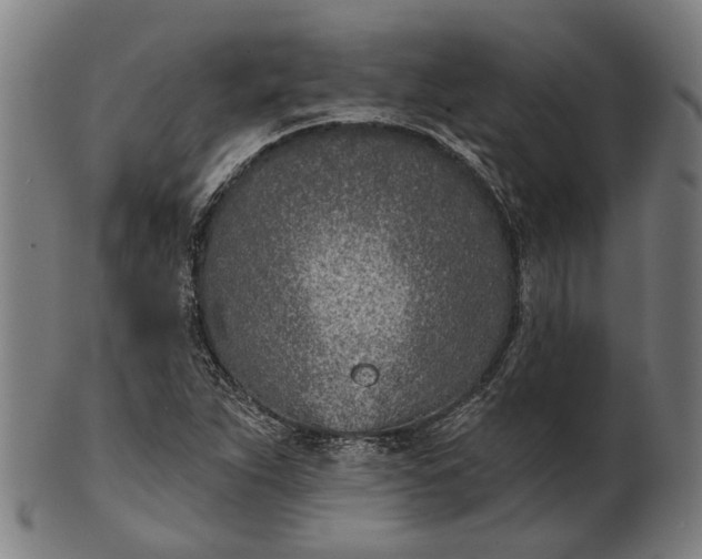 X0000101201263200807111000