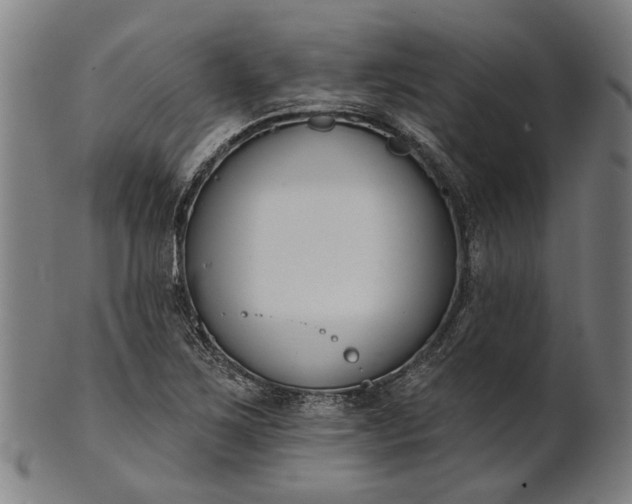 X0000101201267200807111000