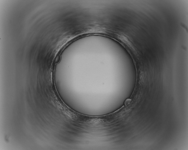 X0000101201268200807111000