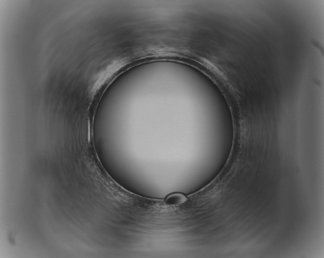 X0000101201269200807111000