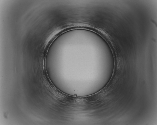 X0000101201271200807111000