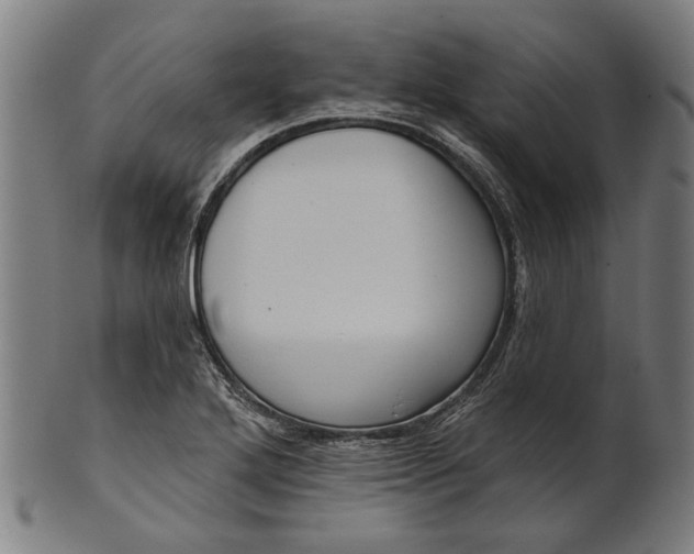 X0000101201272200807111000