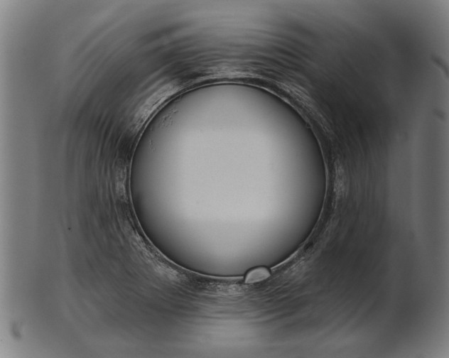 X0000101201273200807111000