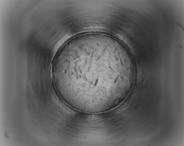 X0000101201275200807111000