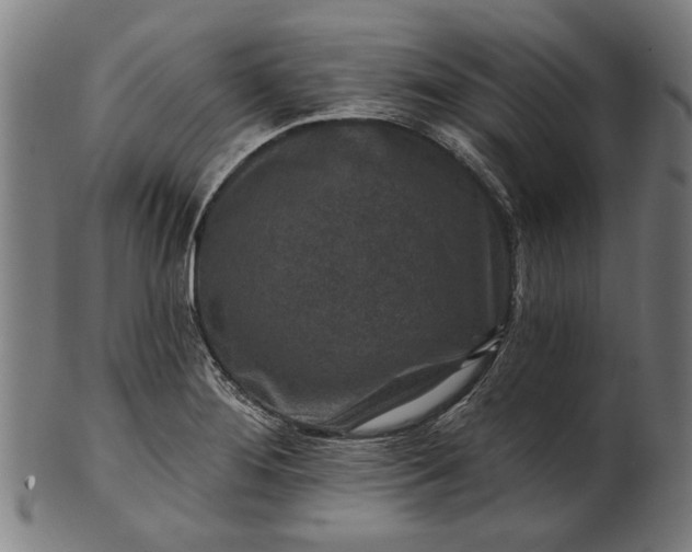 X0000101201276200807111000