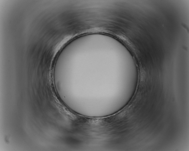X0000101201278200807111000