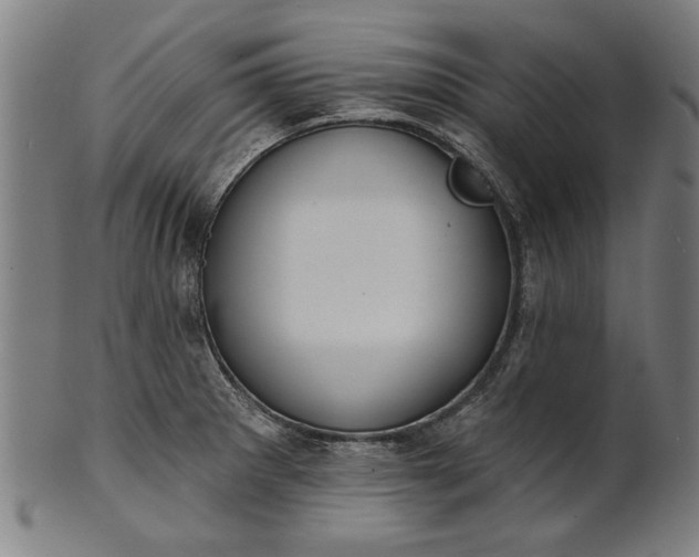 X0000101201281200807111000