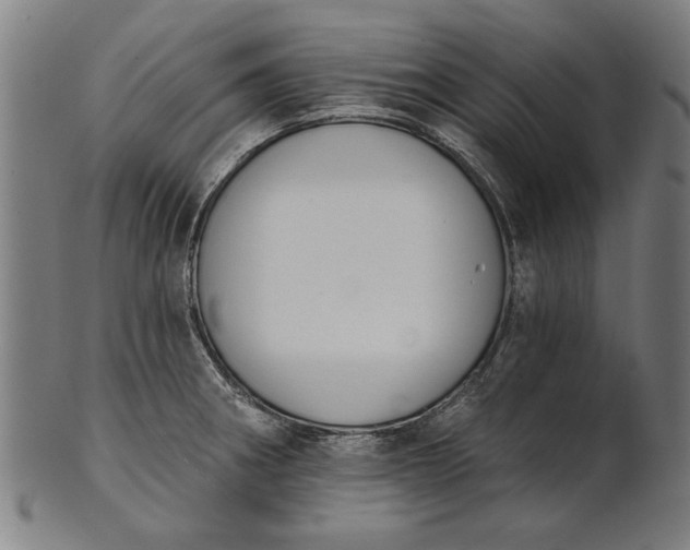 X0000101201282200807111000