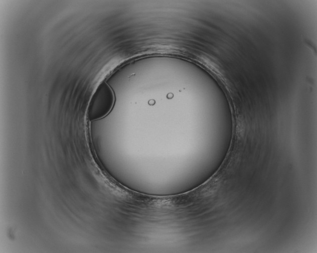 X0000101201283200807111000