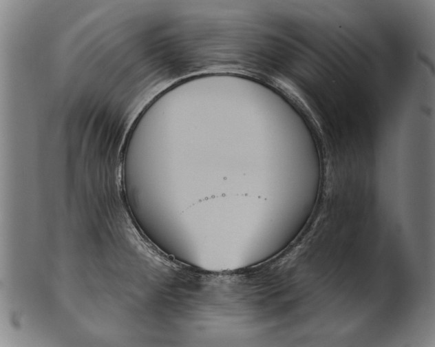 X0000101201284200807111000