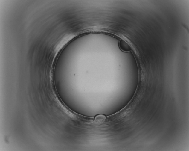 X0000101201285200807111000