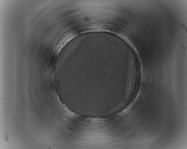 X0000101201289200807111000