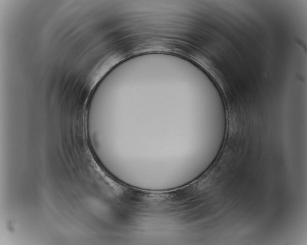 X0000101201290200807111000