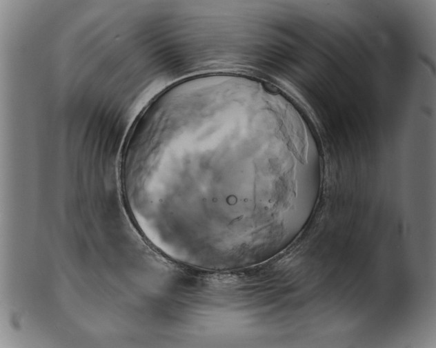 X0000101201291200807111000