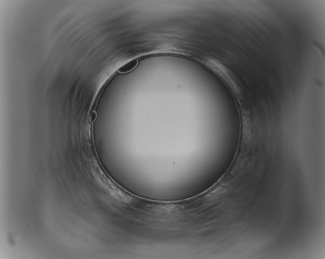 X0000101201292200807111000