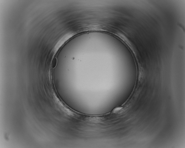 X0000101201293200807111000