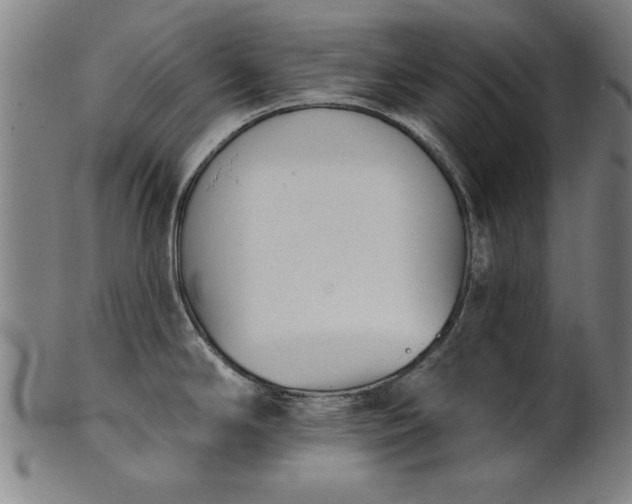 X0000101201294200807111000