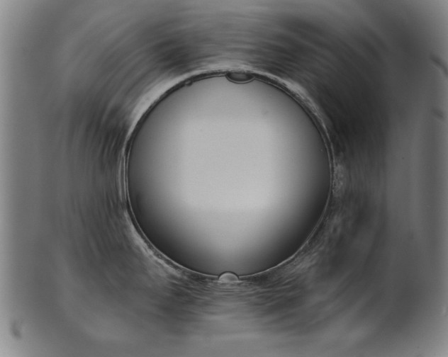 X0000101201295200807111000