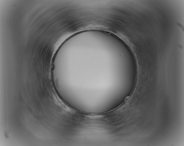 X0000101201296200807111000