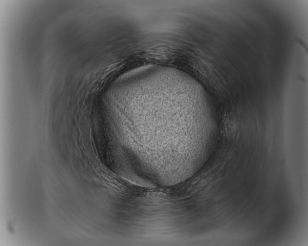 X0000101201297200807110959