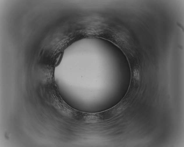 X0000101201300200807110959