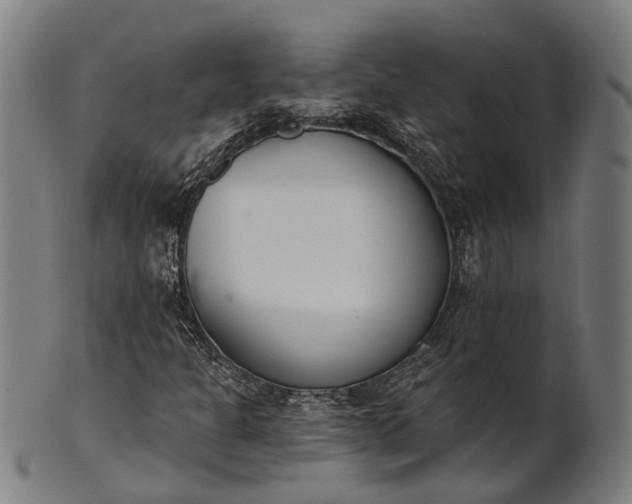 X0000101201301200807110959