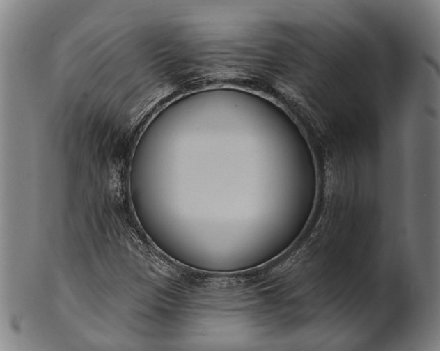 X0000101201305200807110959