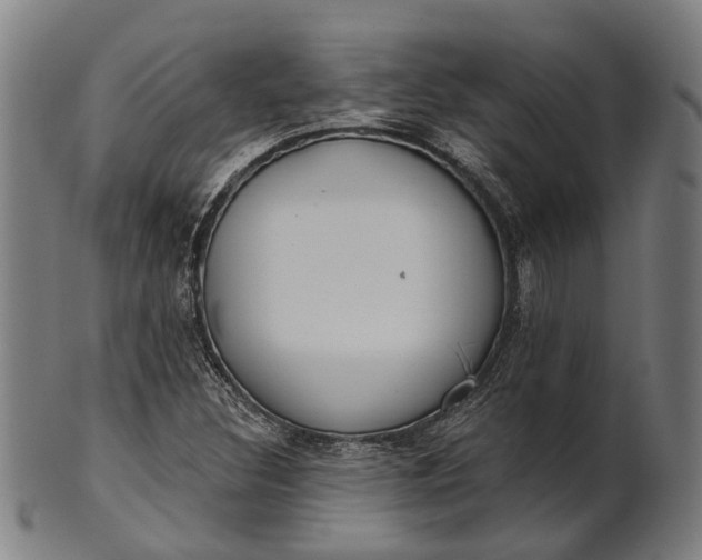 X0000101201308200807110959