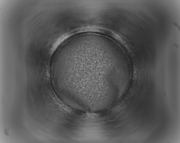 X0000101201312200807110959