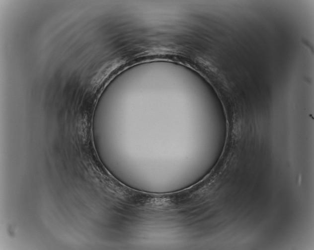 X0000101201313200807110959