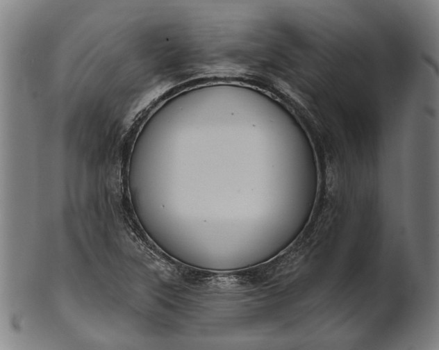 X0000101201315200807110959