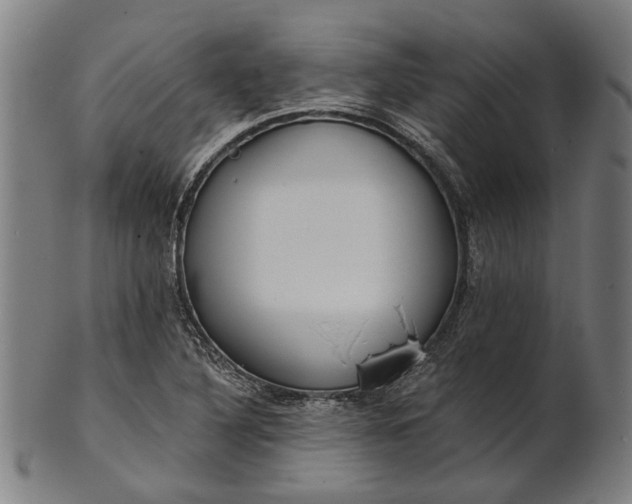 X0000101201316200807110959