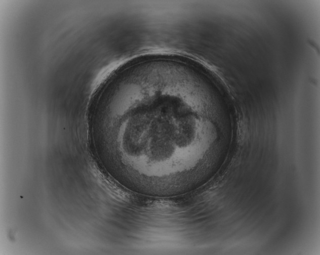 X0000101201319200807110959