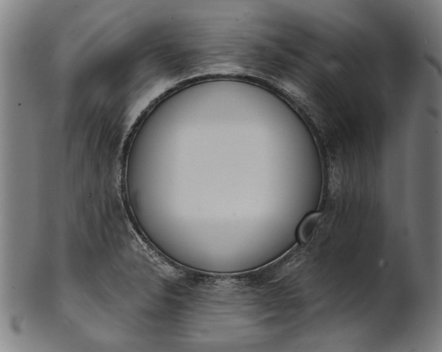 X0000101201326200807110959