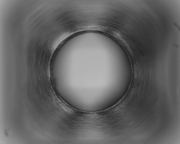X0000101201328200807110959