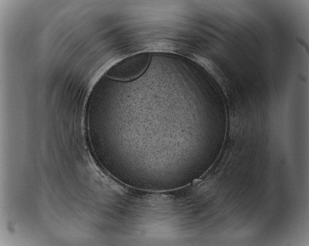 X0000101201331200807110959