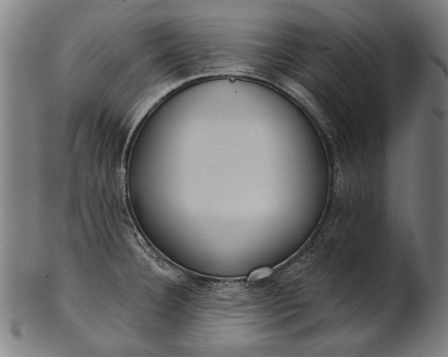 X0000101201332200807110959