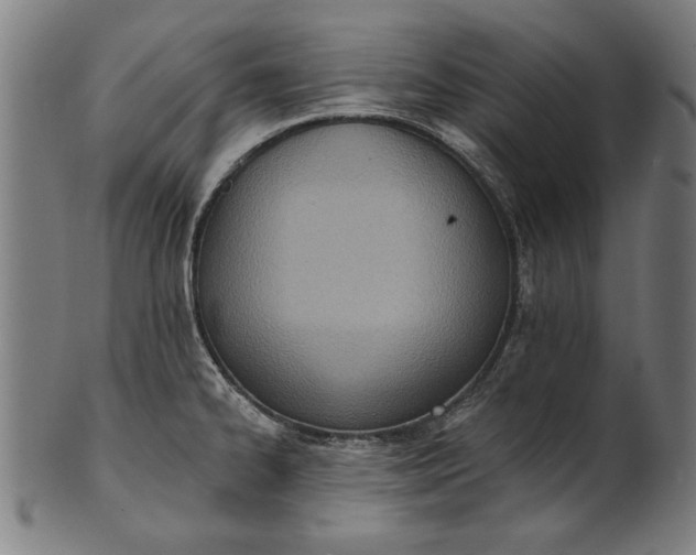 X0000101201334200807111000